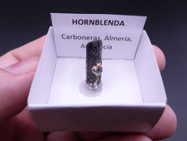 LOW 369 - HORNBLENDA