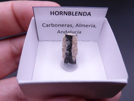 LOW 331 - HORNBLENDA