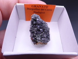 LOW 1344 - GRANATE