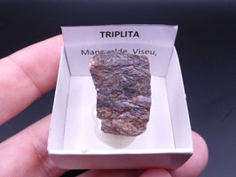 LOW 1393 - TRIPLITA