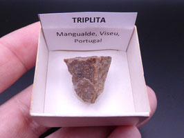 LOW 1399 - TRIPLITA