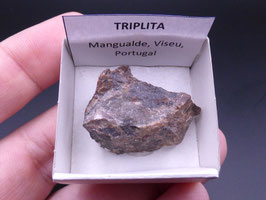 LOW 1347 - TRIPLITA