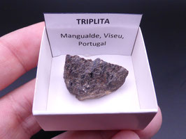 LOW 1392 - TRIPLITA
