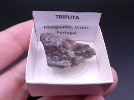 LOW 1354 - TRIPLITA