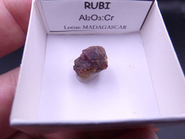 LOW 105 - RUBÍ