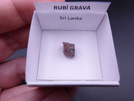 LOW 535 - RUBÍ GRAVA