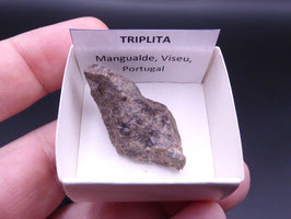 LOW 1395 - TRIPLITA