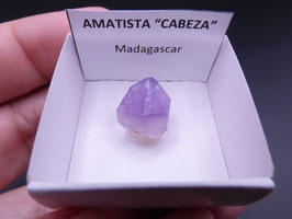 LOW 448 - AMATISTA
