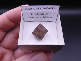 LOW 300 - PIRITA PS LIMONITA