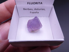 LOW 431 - FLUORITA