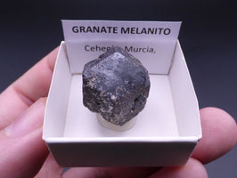 LOW 1376 - GRANATE MELANITO