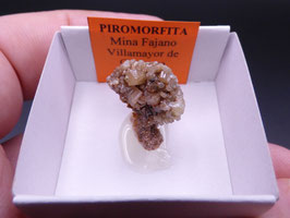 LOW 1381 - PIROMORFITA
