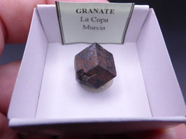 LOW 1440 - GRANATE MELANITO