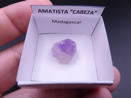LOW 459 - AMATISTA