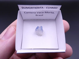 LOW 493 - DUMORTIERITA