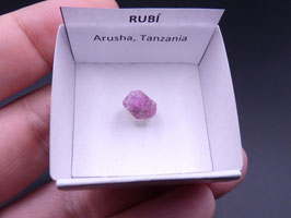 LOW 919 - RUBI