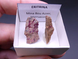 LOW 559 - ERITRINA