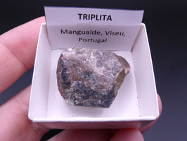 LOW 1369 - TRIPLITA
