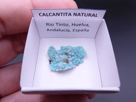 LOW 410 - CALCANTITA