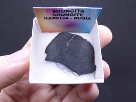 LOW 1243 - SHUNGITA