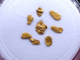 ORO 199