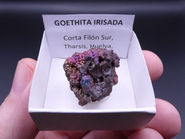 LOW 705 - GOETHITA IRISADA