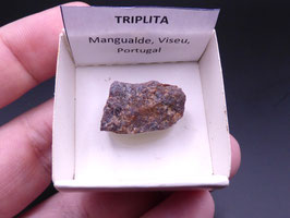 LOW 1361 - TRIPLITA
