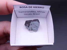 LOW 113 - ROSA DE HIERRO