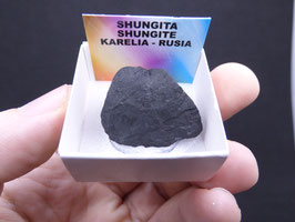 LOW 1209 - SHUNGITA