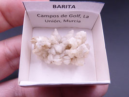 LOW 321 - BARITA