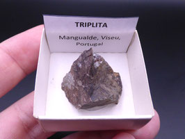 LOW 1359 - TRIPLITA