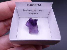 LOW 433 - FLUORITA