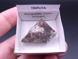 LOW 1419 - TRIPLITA