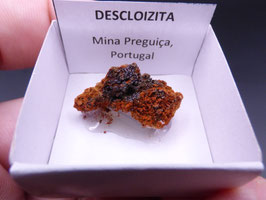 LOW 860 - DESCLOIZITA