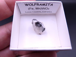 LOW 146 - WOLFRAMITA