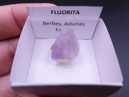 LOW 435 - FLUORITA