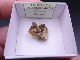 LOW 1427 - TURQUESA