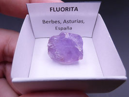 LOW 679 - FLUORITA