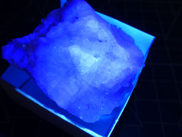 LOW 473 - FLUORITA BICOLOR