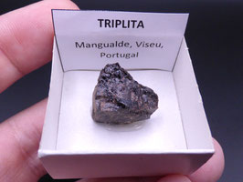 LOW 1396 - TRIPLITA