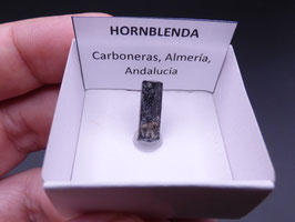 LOW 379 - HORNBLENDA