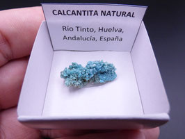LOW 411 - CALCANTITA