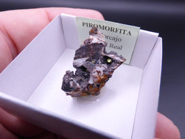 LOW 1118 - PIROMORFITA
