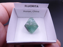 LOW 694 - FLUORITA