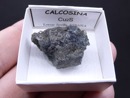 LOW 72 - CALCOSINA