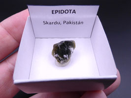 LOW 1119 - EPIDOTA