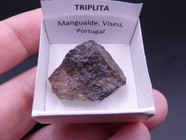 LOW 1367 - TRIPLITA