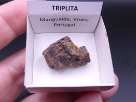 LOW 1423 - TRIPLITA