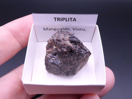 LOW 1384 - TRIPLITA