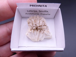 LOW 258 - PREHNITA